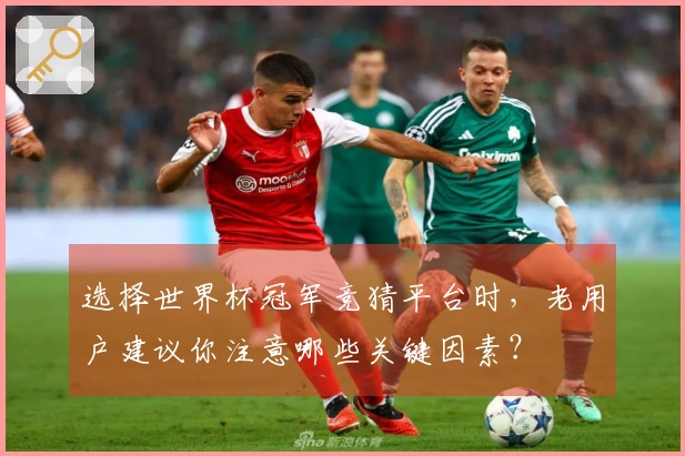 选择世界杯冠军竞猜平台时，老用户建议你注意哪些关键因素？
