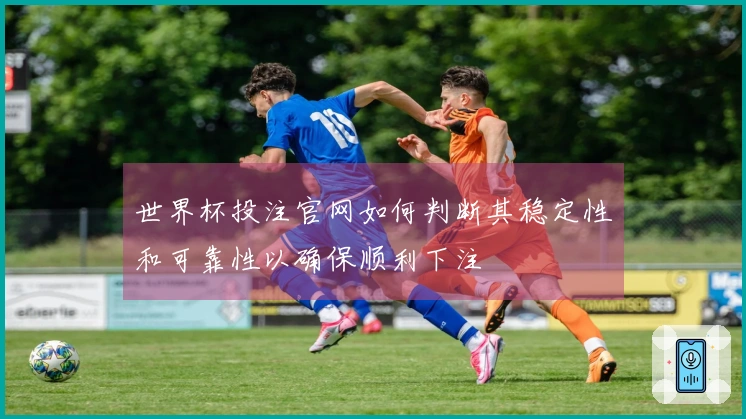 世界杯投注官网如何判断其稳定性和可靠性以确保顺利下注