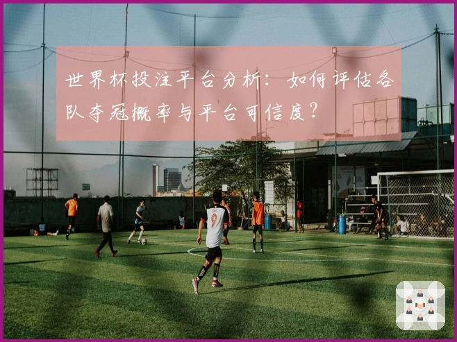 世界杯投注平台分析：如何评估各队夺冠概率与平台可信度？