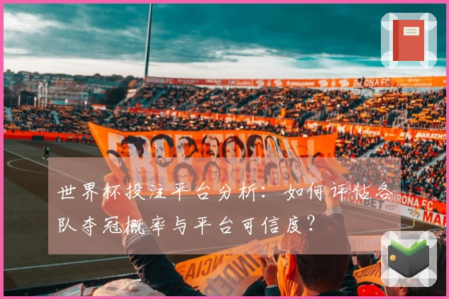 世界杯投注平台分析：如何评估各队夺冠概率与平台可信度？