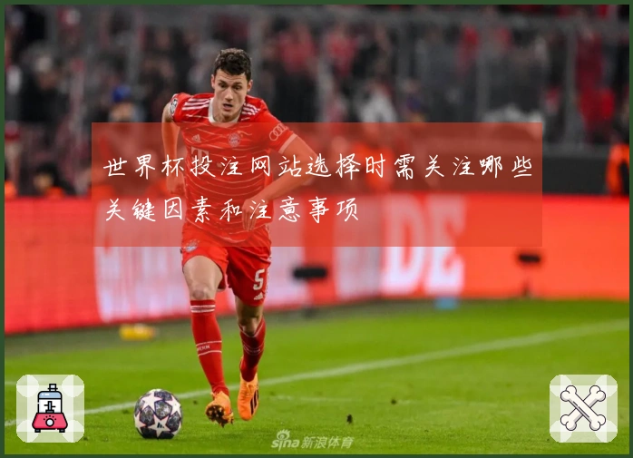 世界杯投注网站选择时需关注哪些关键因素和注意事项