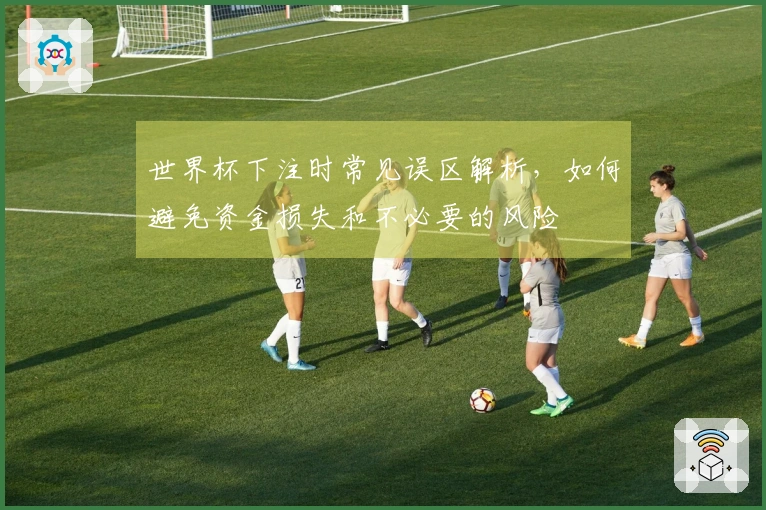 世界杯下注时常见误区解析，如何避免资金损失和不必要的风险